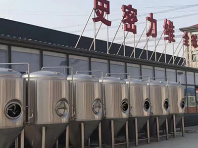 惠城精酿啤酒设备厂—市场规模与跨界新需求
